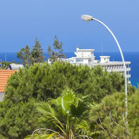 Anemoni 6 プロタラス