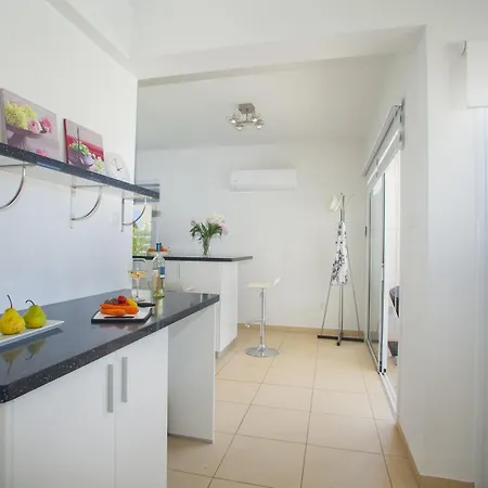 Anemoni 6 プロタラス